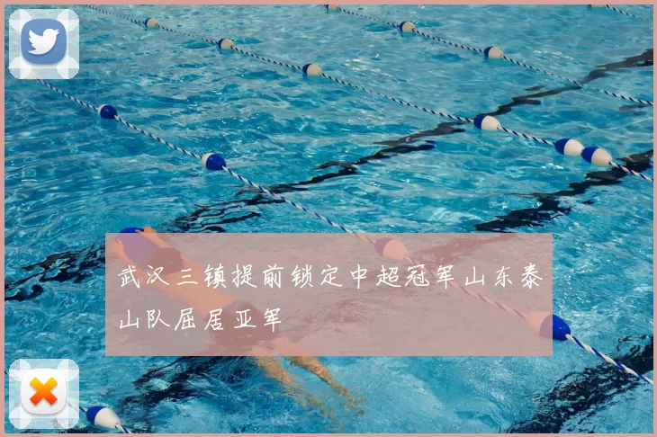 武汉三镇提前锁定中超冠军山东泰山队屈居亚军