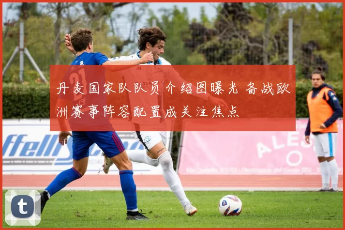 丹麦国家队队员介绍图曝光 备战欧洲赛事阵容配置成关注焦点