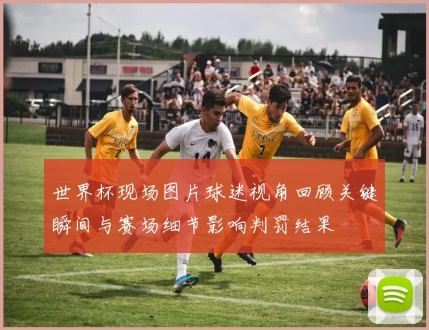 世界杯现场图片球迷视角回顾关键瞬间与赛场细节影响判罚结果