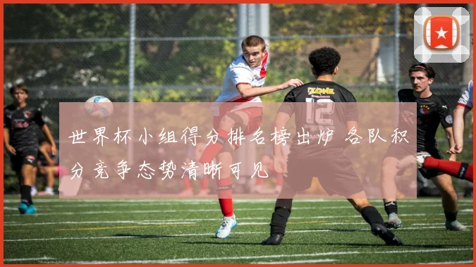 世界杯小组得分排名榜出炉 各队积分竞争态势清晰可见